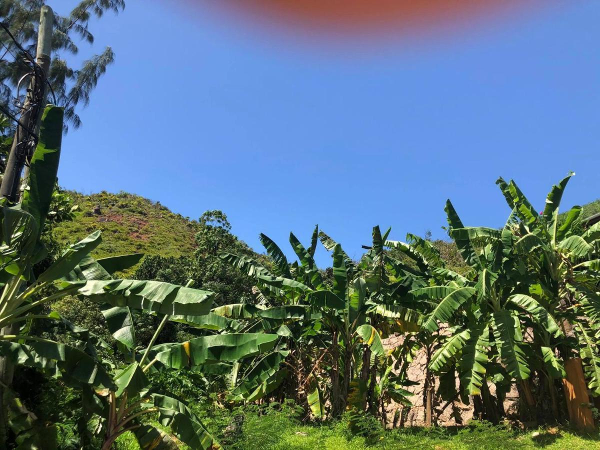 Mirella Villa Anse Volbert Village  Luaran gambar