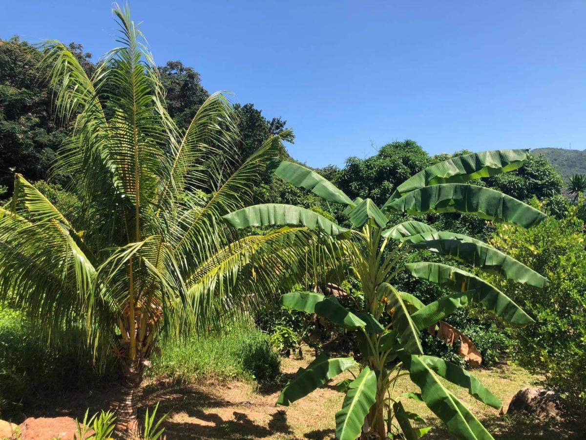 Mirella Villa Anse Volbert Village  Luaran gambar