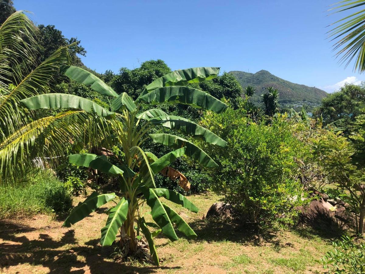 Mirella Villa Anse Volbert Village  Luaran gambar