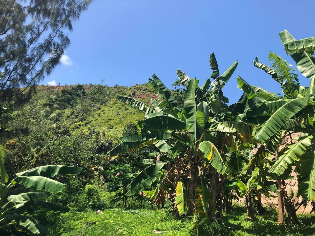Mirella Villa Anse Volbert Village  Luaran gambar