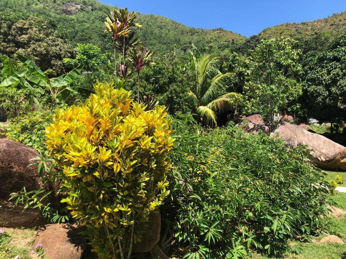 Mirella Villa Anse Volbert Village  Luaran gambar