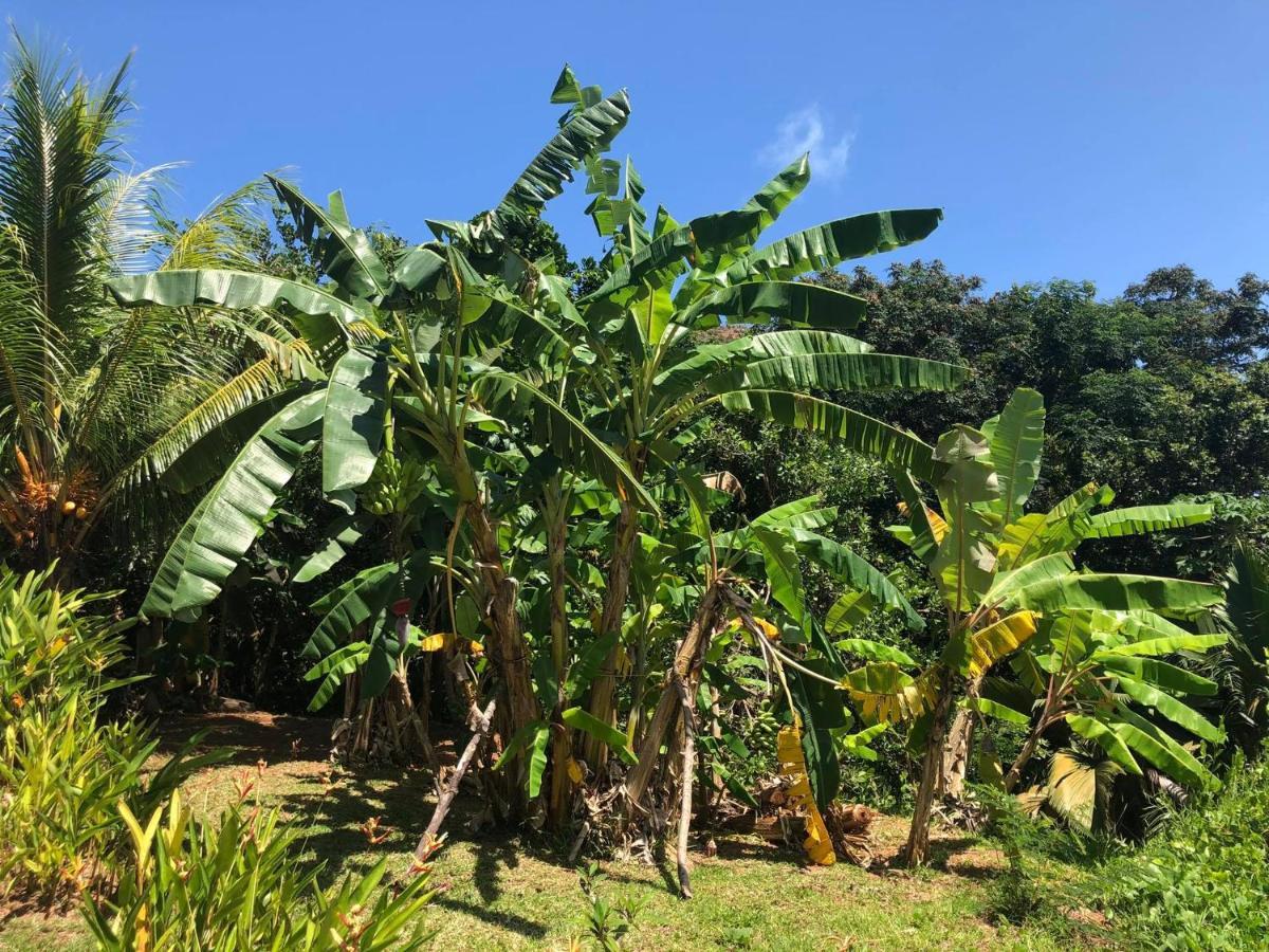 Mirella Villa Anse Volbert Village  Luaran gambar